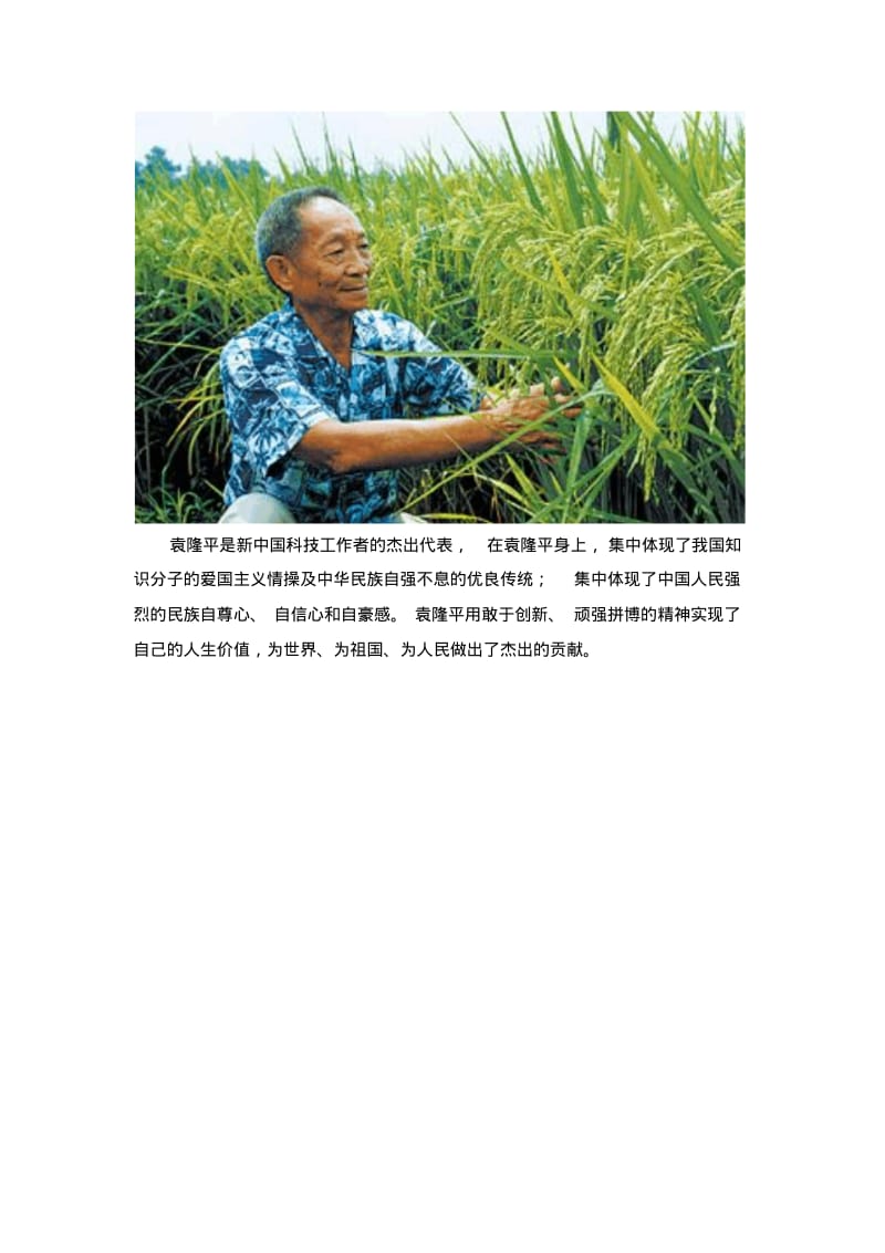 杂交水稻之父袁隆平.pdf_第2页