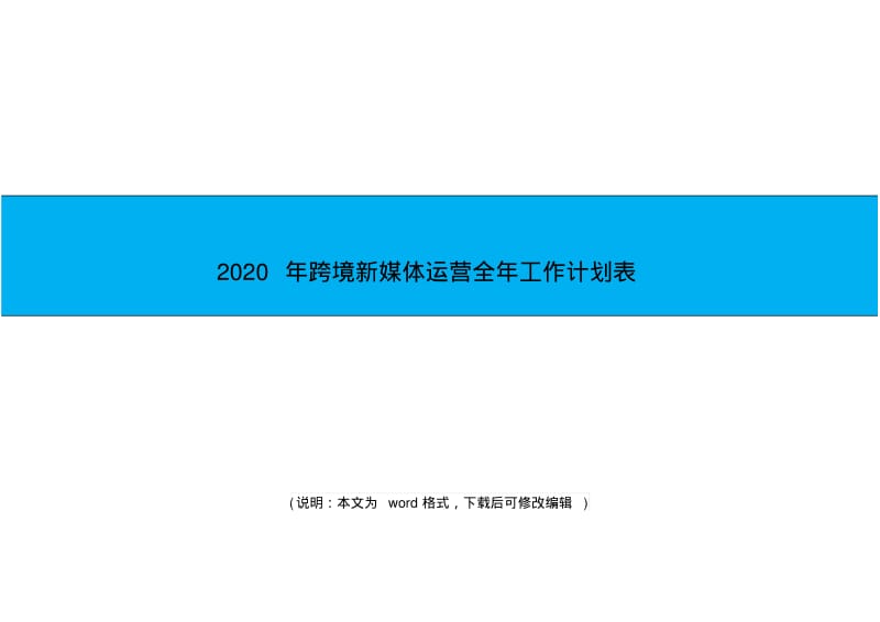 2020年跨境新媒体运营全年工作计划表.pdf_第1页