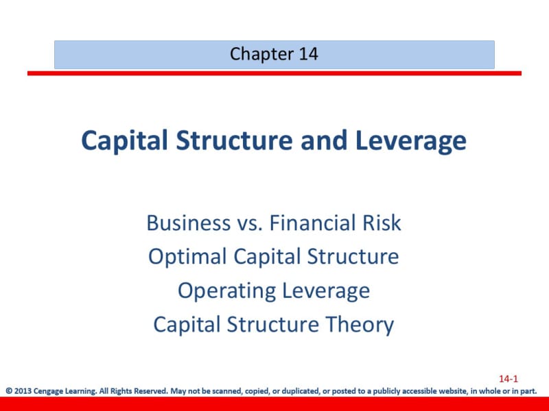 CapitalStructureandLeverage.pdf_第1页