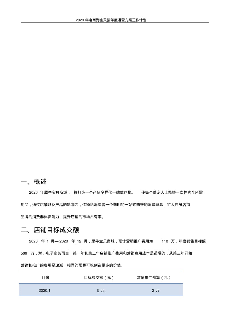 2020年电商淘宝天猫年度运营方案工作计划.pdf_第2页