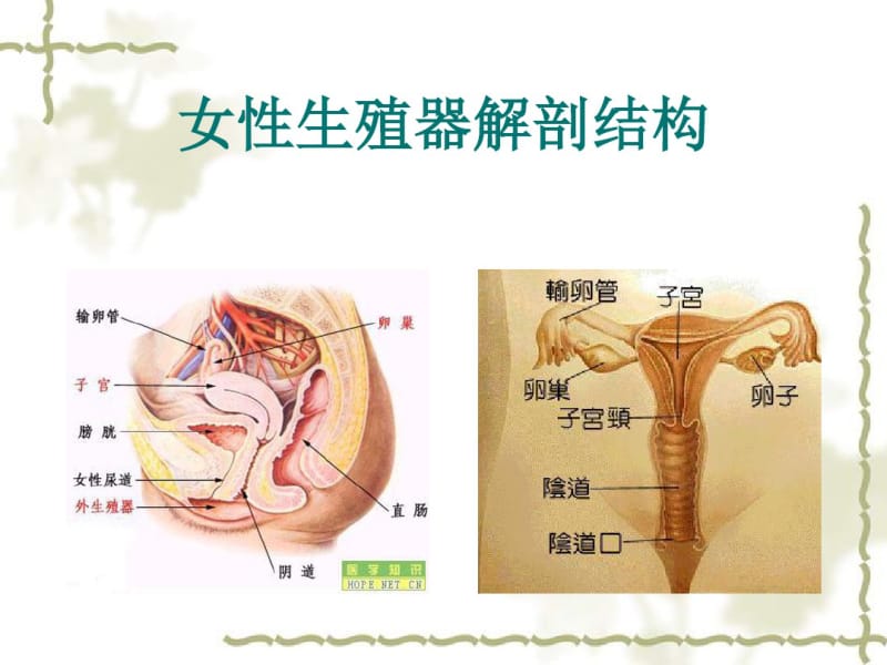 护理查房-宫腔镜——副本分析.pdf_第2页