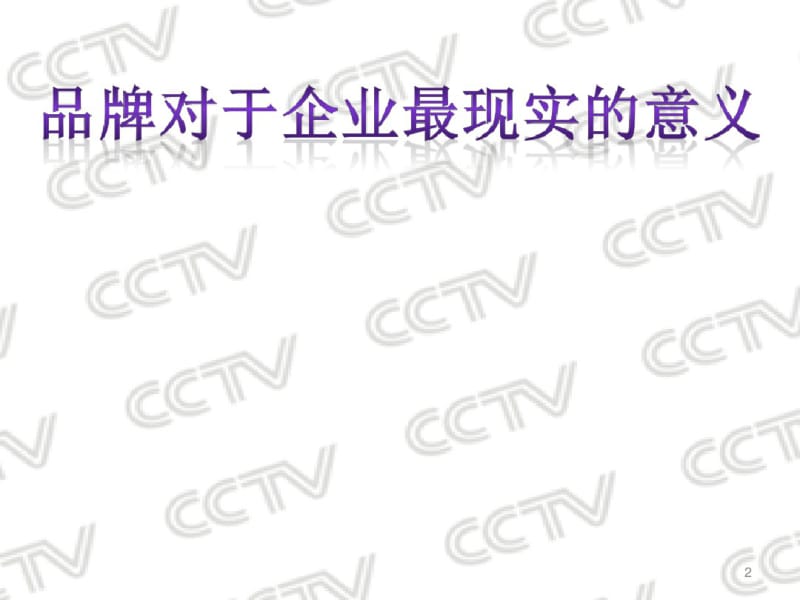 CCTV招商频道招商策划.pdf_第2页