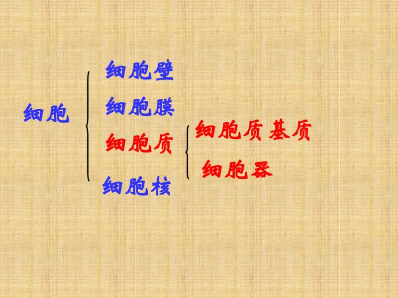 细胞器一轮复习【上课】用精编版.pdf_第2页