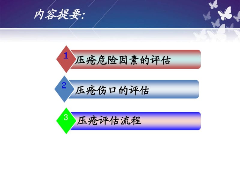 课件一(压疮风险评估与上报)资料.pdf_第2页