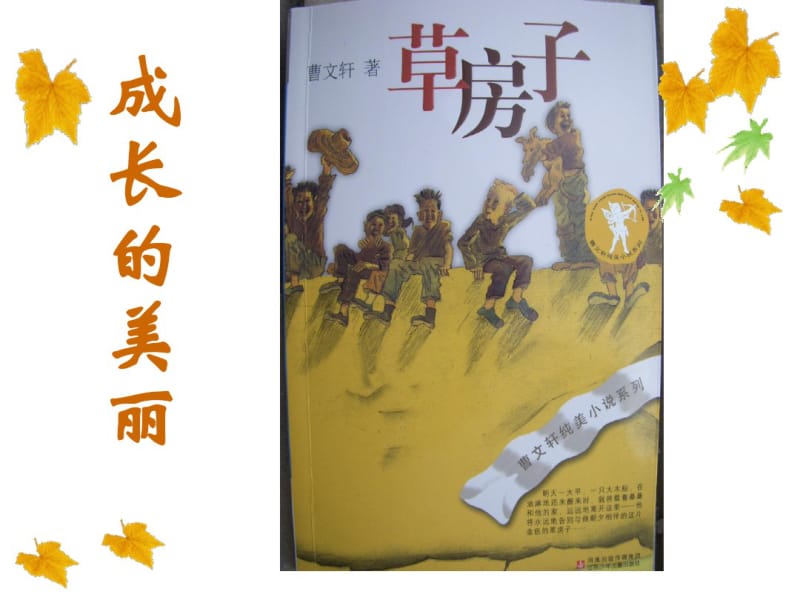 草房子阅读指导分析.pdf_第2页