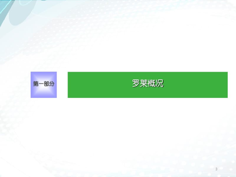 罗莱家纺电子商务之路分析分析.pdf_第3页