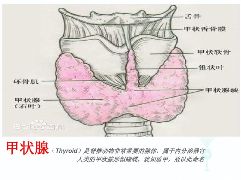 pbl最终版.pdf_第2页