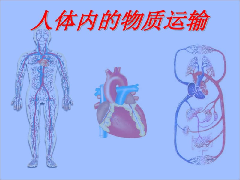 七年级上册生物人体内物质的运输(复习课)资料.pdf_第1页