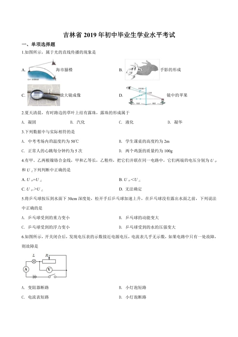2019年吉林省中考物理试题（原卷版）.pdf_第1页