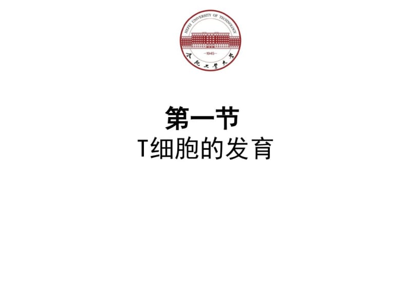 免疫学T细胞发育活化分化与效应机制.pdf_第3页