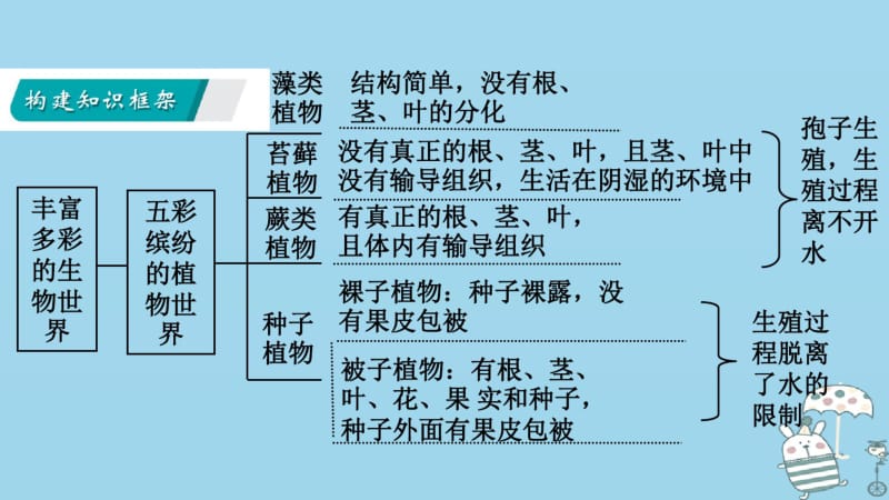 八年级生物上册第十四章丰富多彩的生物世界复习讲义苏教版.pdf_第2页