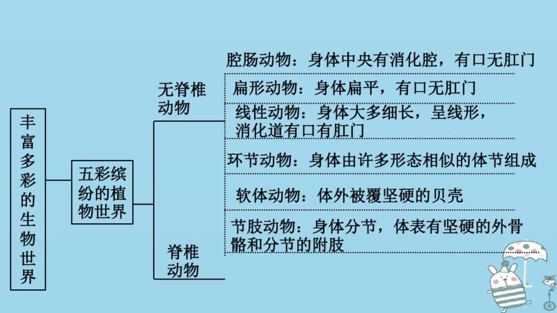 八年级生物上册第十四章丰富多彩的生物世界复习讲义苏教版.pdf_第3页