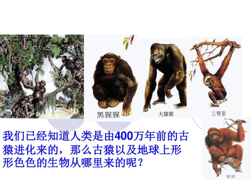 八年级生物地球上生命的起源资料.pdf_第2页