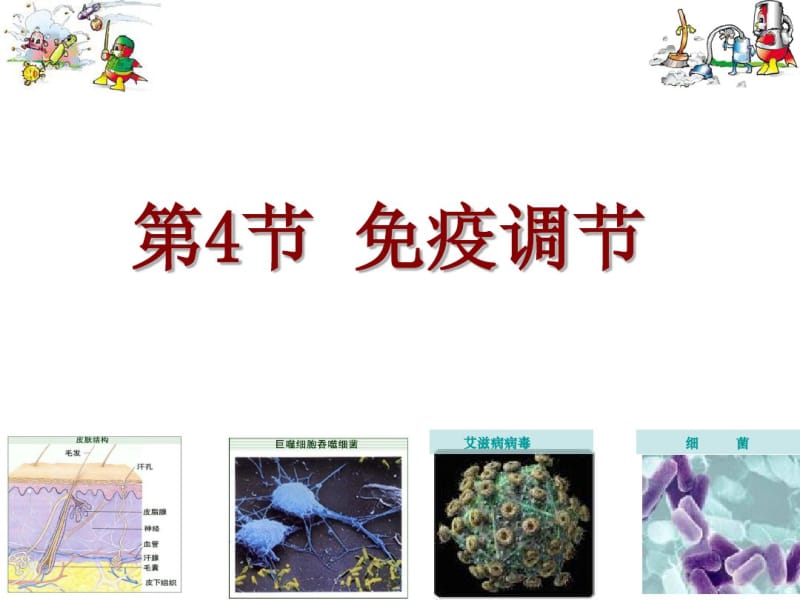 免疫调节市级公开课课件资料.pdf_第1页