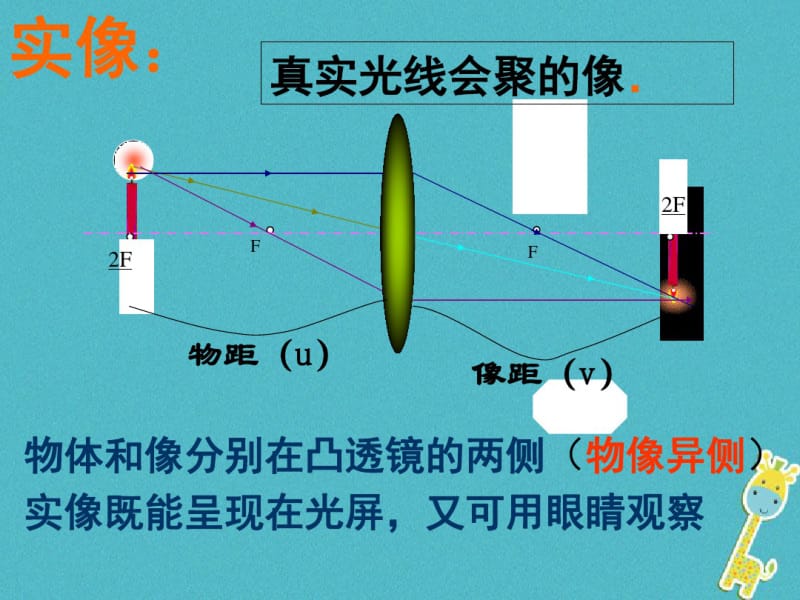 八年级物理下册6.2探究--凸透镜成像规律讲义北师大版.pdf_第3页