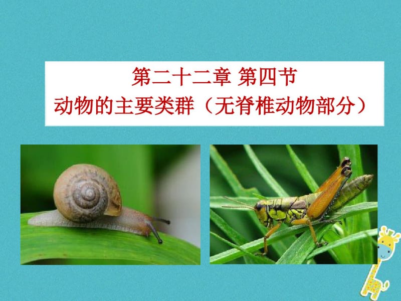 八年级生物下册22.4动物的主要类群教案北师大版.pdf_第1页