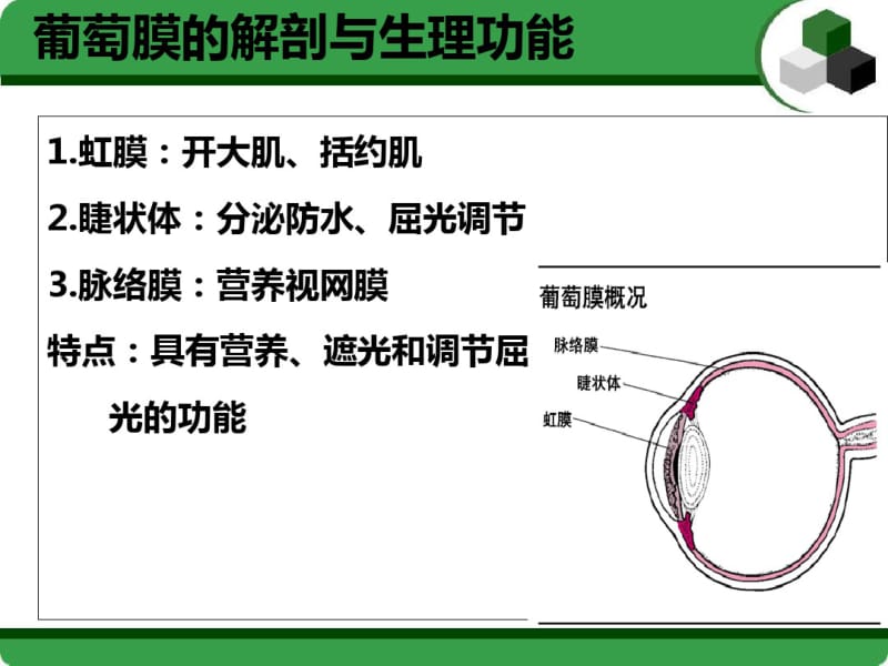 医学葡萄膜炎医疗护理查房.pdf_第3页