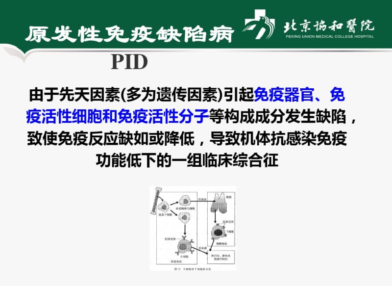 医学自身炎症性疾病.pdf_第2页