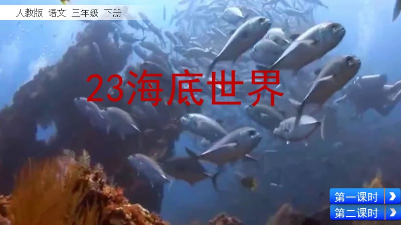 部编版三年级下册j优秀ppt23 海底世界.pptx_第2页