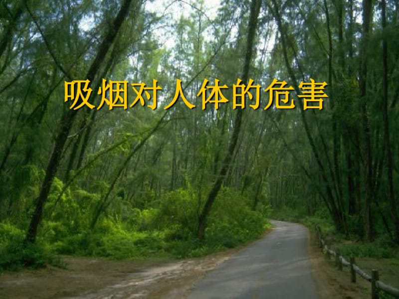 吸烟对人体的危害.pdf_第1页