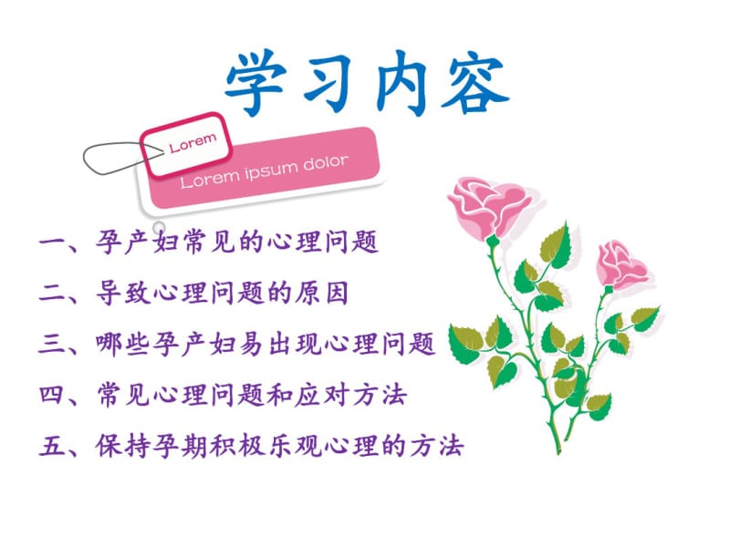 孕产期心理保健课件.pdf_第2页