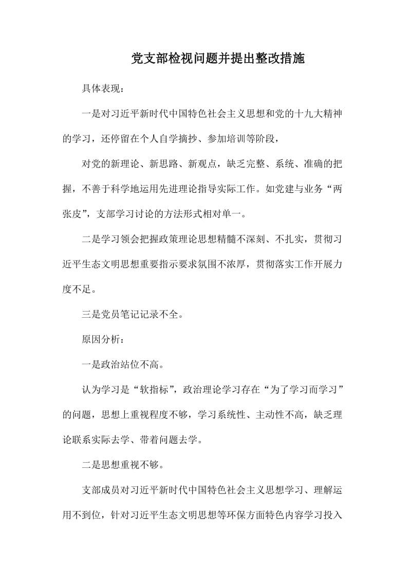 党支部检视问题并提出整改措施.docx_第1页