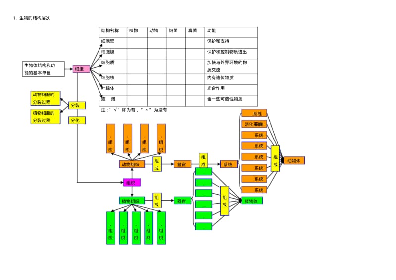 初中科学生物部分知识点梳理——思维导图.pdf_第1页