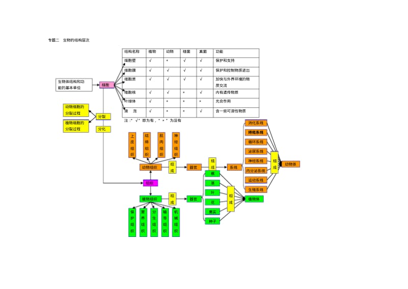 初中生物思维导图大全.pdf_第2页