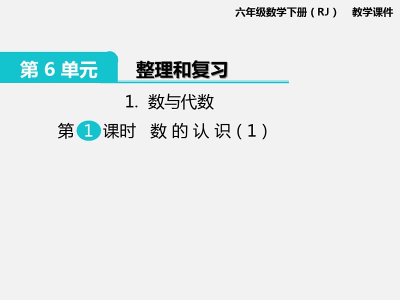 六年级下册数学数与代数数的认识.pdf_第1页