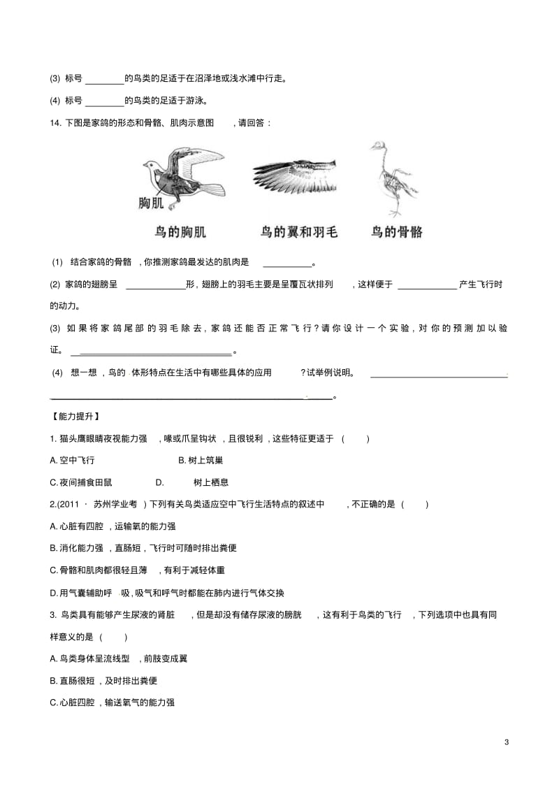 八年级生物上册第五单元第一章第六节鸟同步练习1(新版)新人教版.pdf_第3页