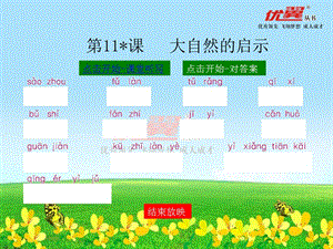 人教版四年级下册课件11 大自然的启示.ppt