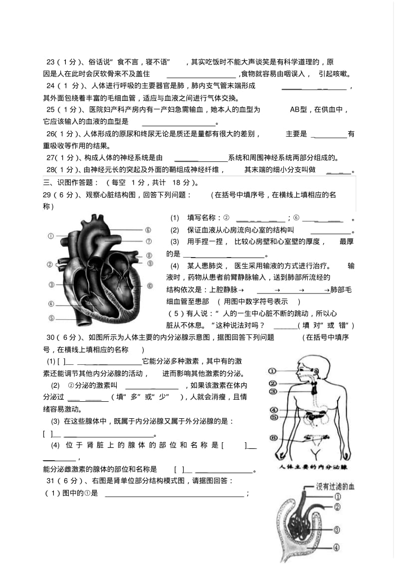 湖北省天门市2013-2014学年七年级下学期生物期末考试试题(word版含答案).pdf_第3页