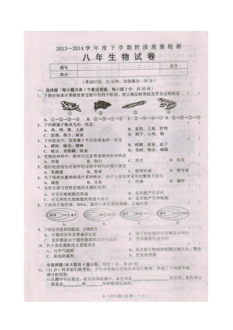 辽宁省台安县2013-2014学年八年级下学期生物第一次月考试题(扫描版).pdf_第2页