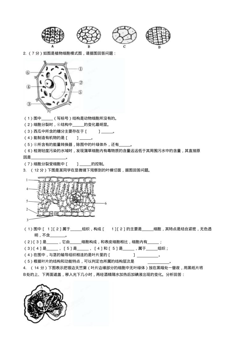 山东省无棣县2013-2014学年七年级上学期生物期中试题新(word版含答案).pdf_第3页