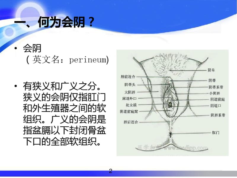 会阴部护理课件(0619132702).pdf_第2页