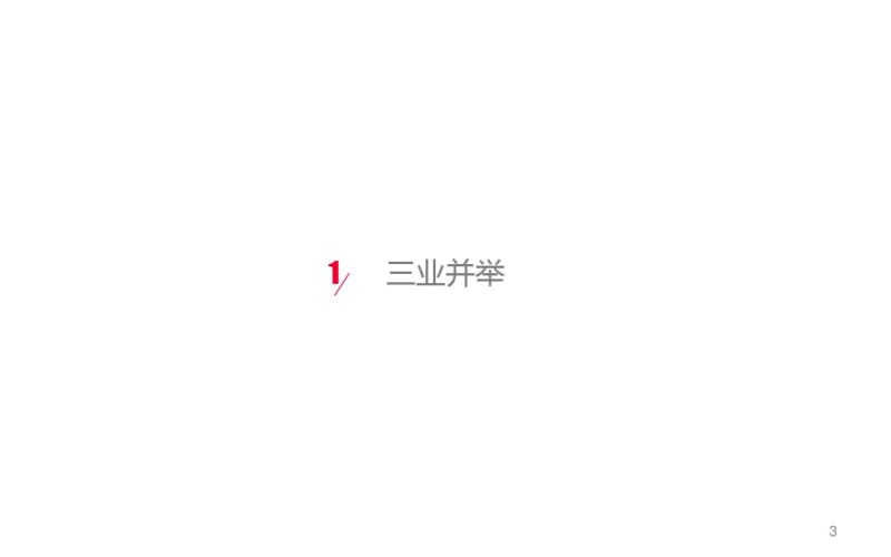 东坤创新科技产业园运营方案课件(0617144456).pdf_第3页