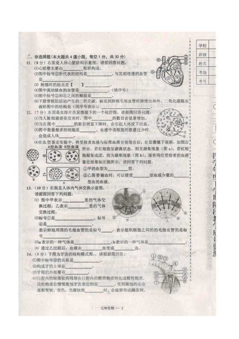 辽宁省台安县2013-2014学年度七年级下学期生物期中试题(扫描版).pdf_第3页