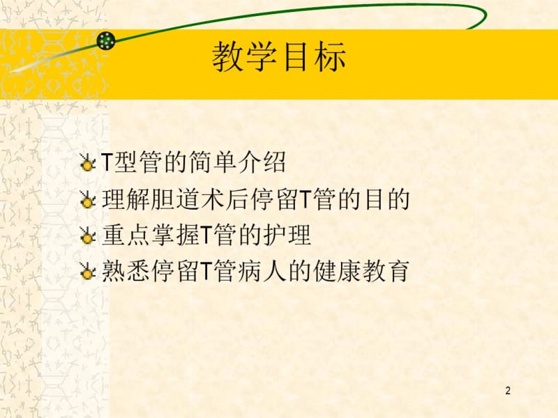 T管护理课件.pdf_第2页