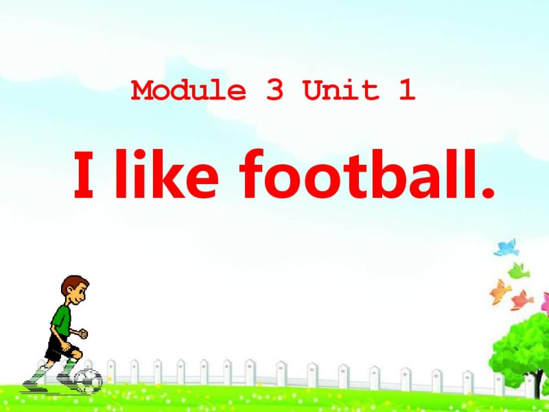 《Ilikefootball》PPT课件4.pdf_第1页