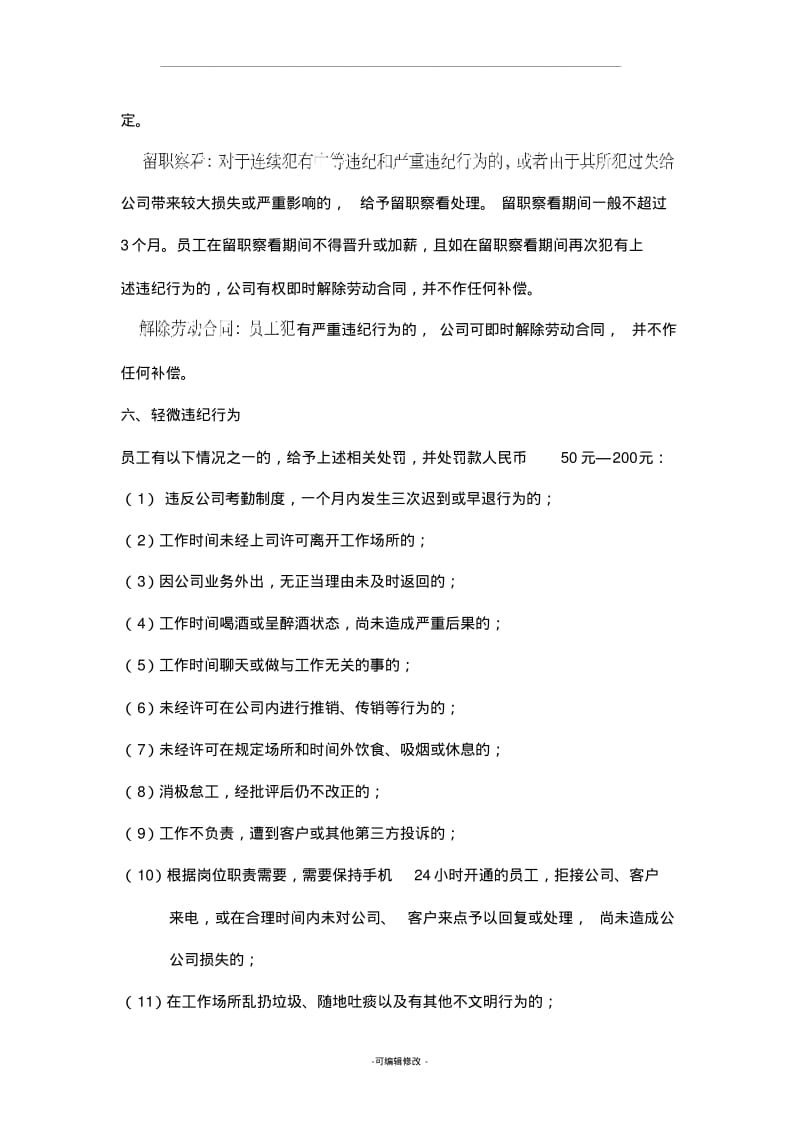 公司违纪违规处罚条例.pdf_第3页