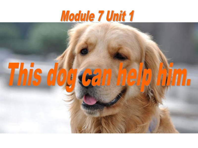 《Thisdogcanhelphim》PPT课件3.pdf_第1页