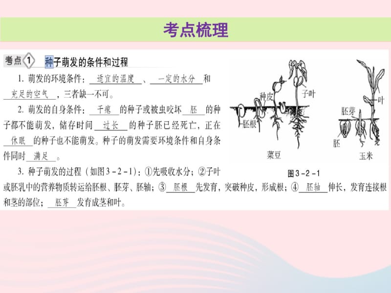 2019年中考生物总复习第三单元第二章被子植物的一生课件.pdf_第3页