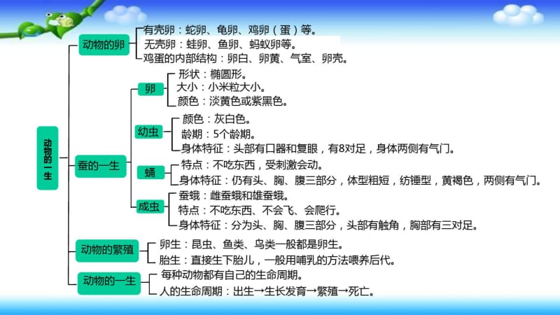 三年级下册科学-教科版-第二单元-动物的一生-单元整理与复习-课件教学提纲.pdf_第2页