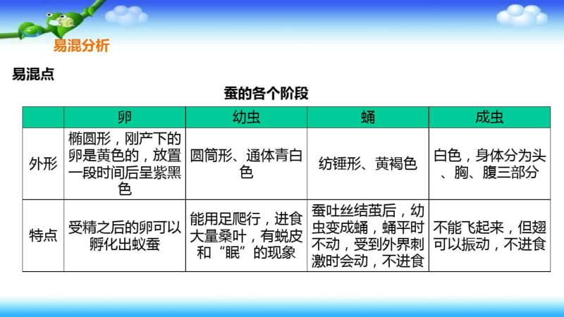 三年级下册科学-教科版-第二单元-动物的一生-单元整理与复习-课件教学提纲.pdf_第3页