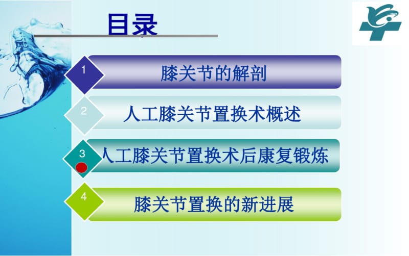 (完整版)人工膝关节置换术后康复护理.pdf_第2页