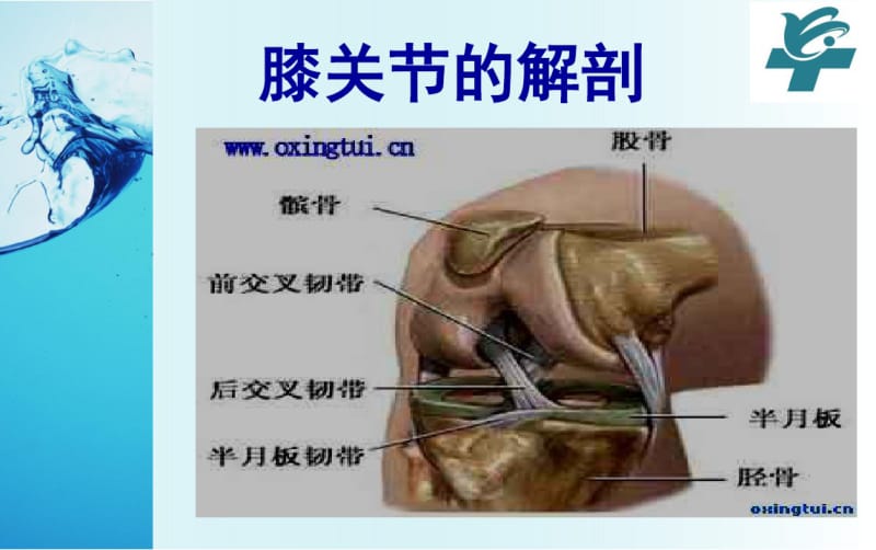 (完整版)人工膝关节置换术后康复护理.pdf_第3页