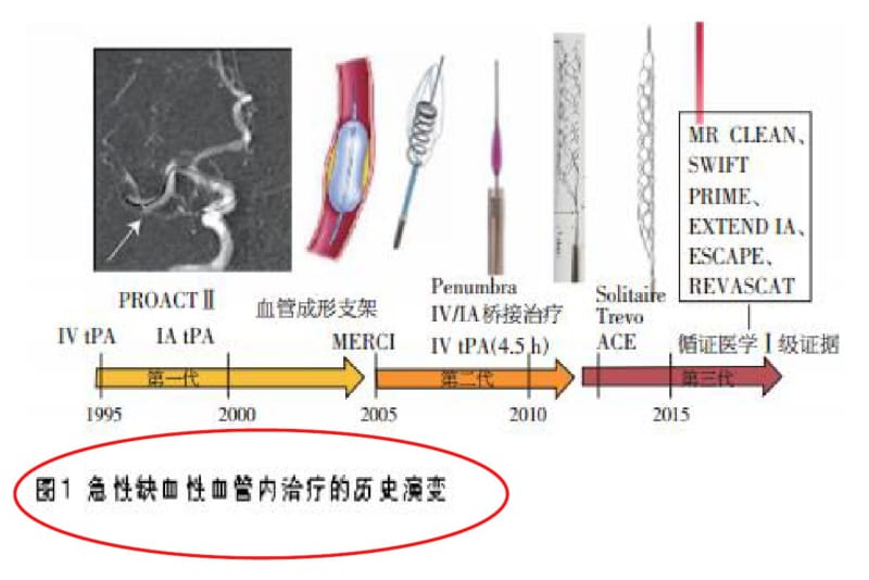 (完整版)脑侧支循环评估2016.pdf_第3页