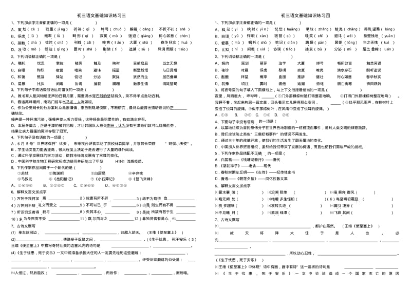 初三语文总复习基础知识练习.pdf_第2页