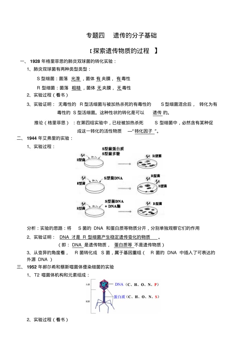 遗传的分子基础知识点.pdf_第1页