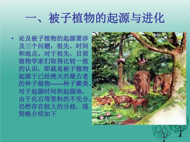 被子植物的起源..pdf_第2页